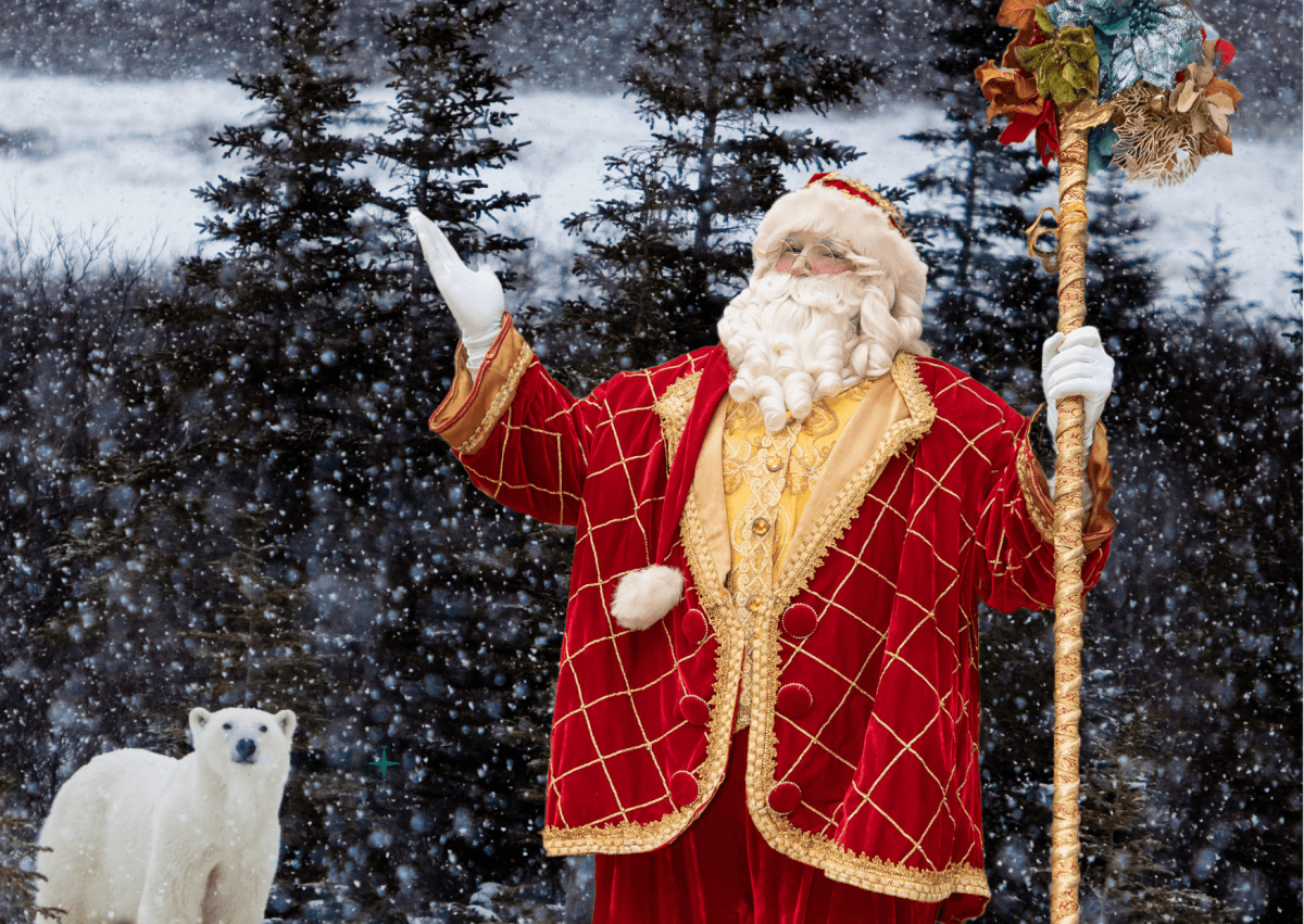 papai noel na neve