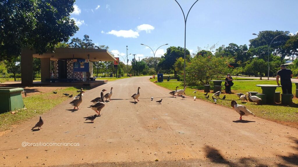 Pista-de-Caminhada-Parque-da-Cidade-Brasilia-1024x576 O maior parque urbano da América Latina