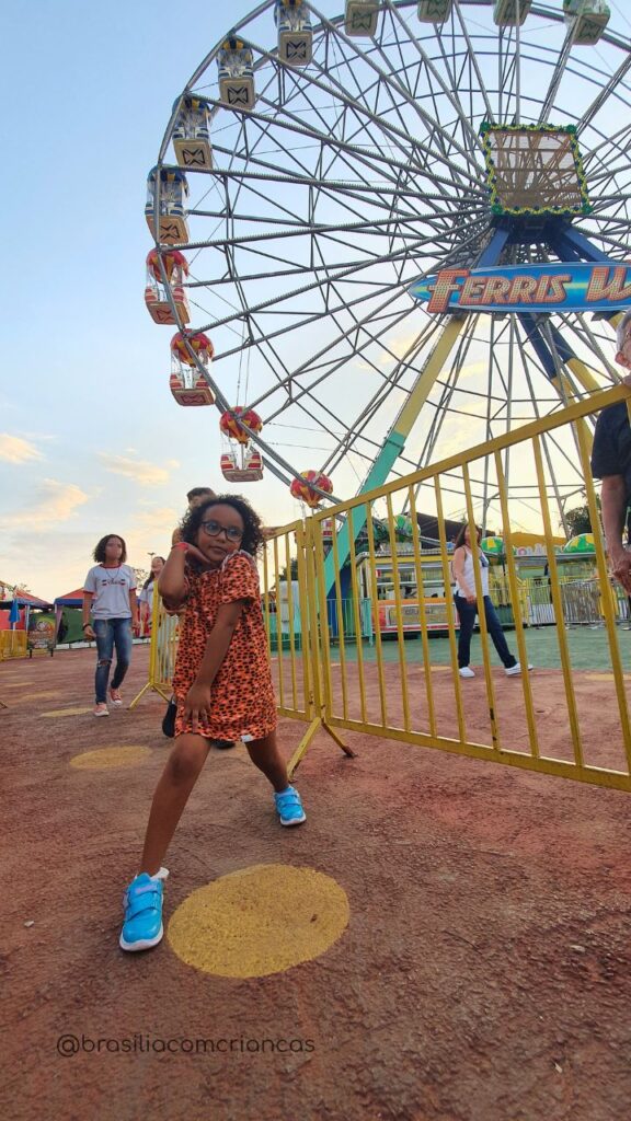 Roda-gigante-Ferris-Wheels-576x1024 O maior parque urbano da América Latina
