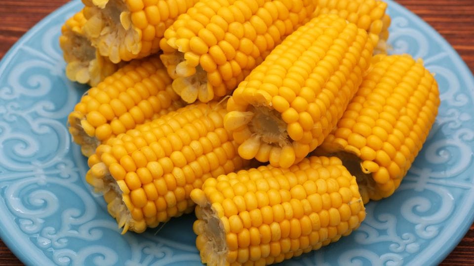 milho-verde Receitas de Festa Junina Deliciosas e Fáceis para Fazer com a Família
