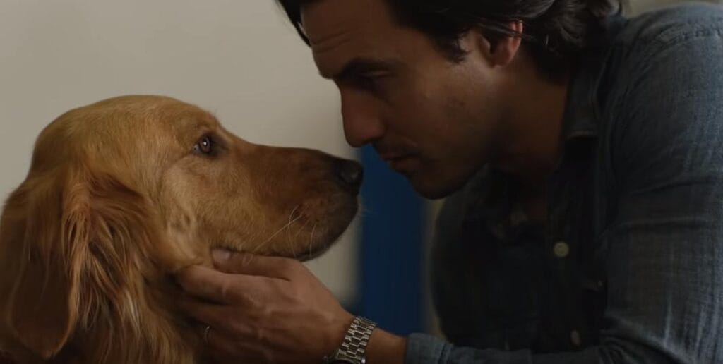 milo-e-parker-a-arte-de-correr-na-chuva-1024x516 5 Motivos para assistir “A Arte de Correr na Chuva” na Netflix