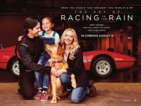 milo-ventimiglia-e-amanda-seyfried 5 Motivos para assistir “A Arte de Correr na Chuva” na Netflix