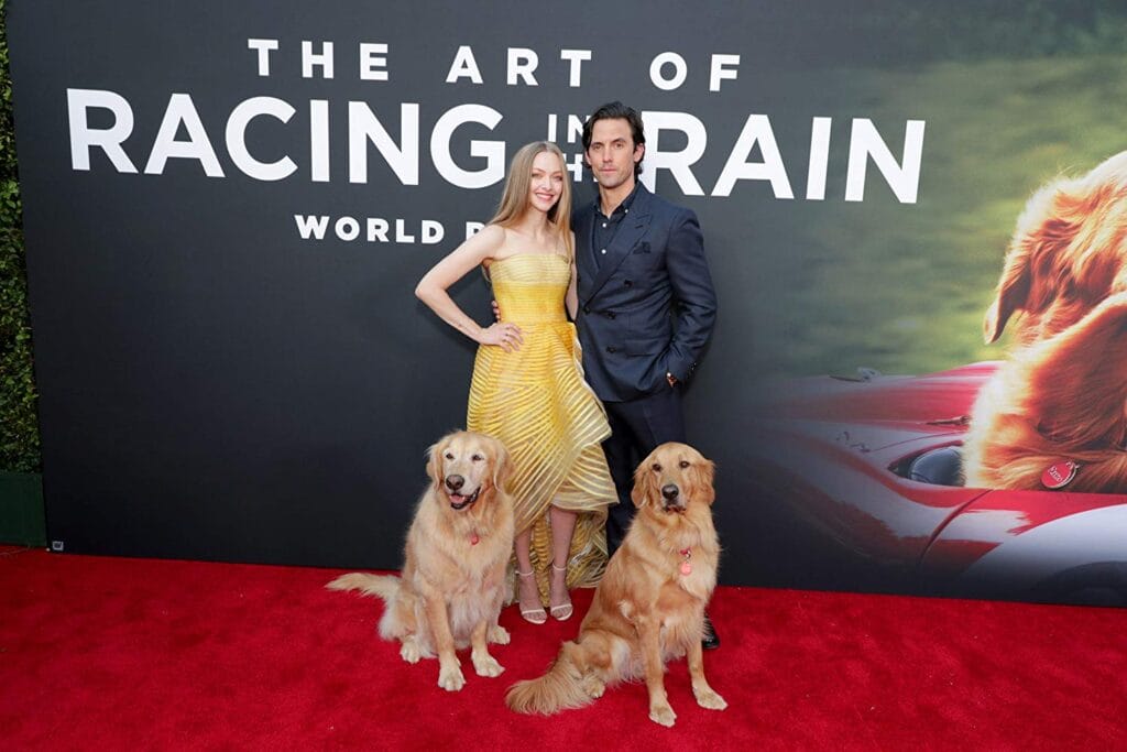 the-art-of-racing-in-the-rain-milo-amanda-1024x683 5 Motivos para assistir “A Arte de Correr na Chuva” na Netflix