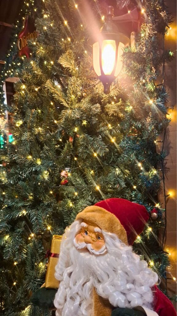 4-1-576x1024 “Natal Imperial” chegou ao Pontão Lago Sul 