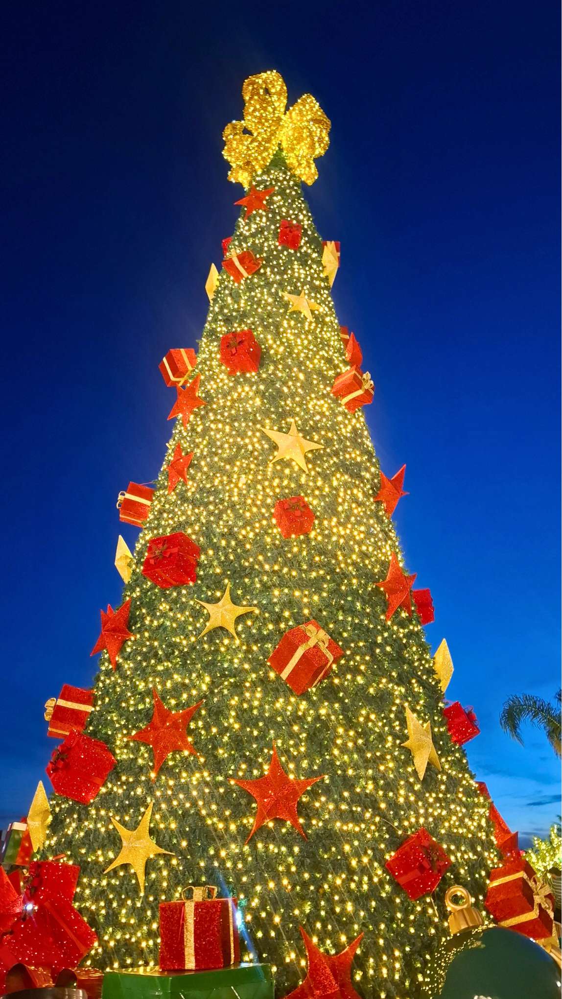 árvore de natal luminosa