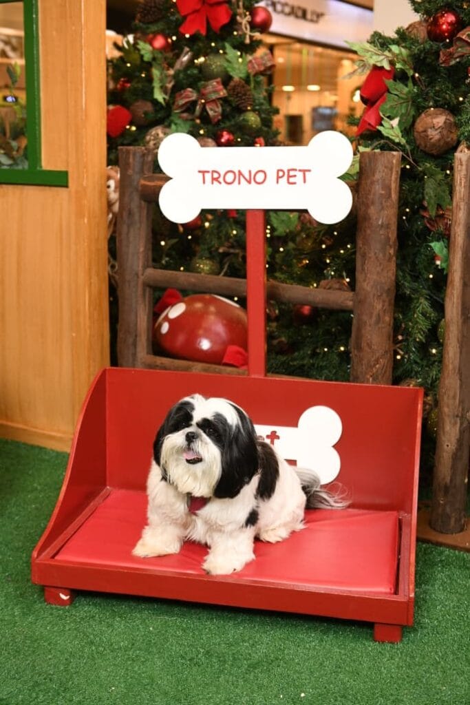 LOUNGE-PET-NO-BOULEVARD-SHOPPING-BSB-683x1024 Espírito natalino segue em alta no Boulevard Shopping Brasília