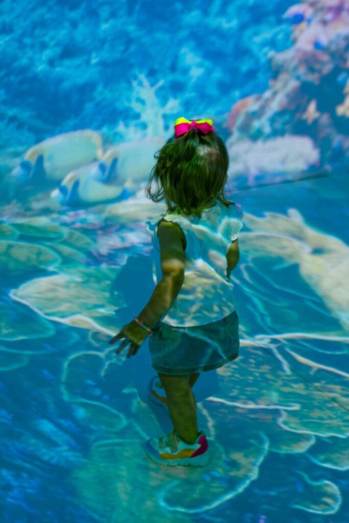 3-683x1024 Oceano Vivo: exposição imersiva inédita chega a Brasília no ParkShopping nas férias