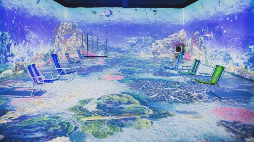 Oceano-Vivo-Exposicao-ParkShopping-1024x576 Oceano Vivo: exposição imersiva inédita chega a Brasília no ParkShopping nas férias