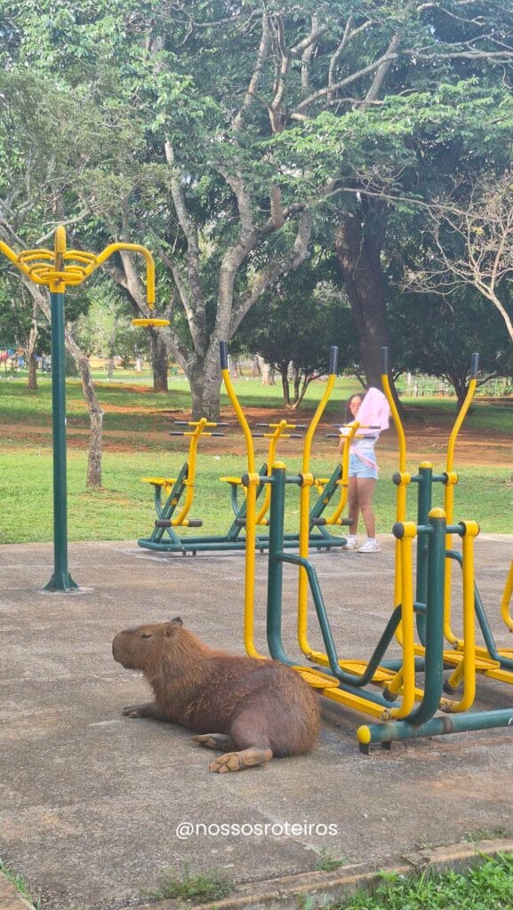 9-577x1024 Zoológico de Brasília com Crianças: Guia Completo com Valores, Horários e Dicas Importantes