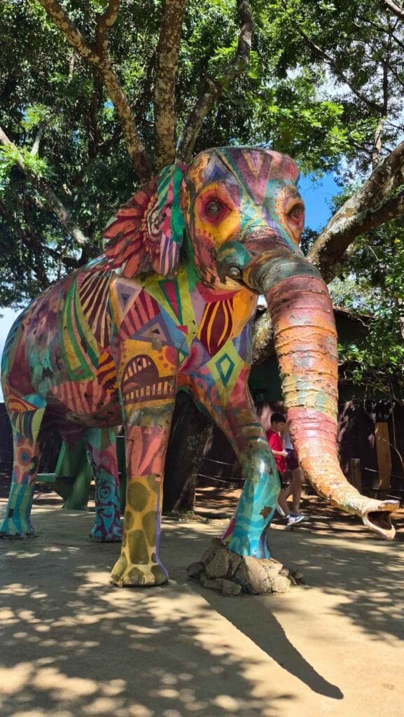 Elefanta-Nely-1-577x1024 Zoológico de Brasília com Crianças: Guia Completo com Valores, Horários e Dicas Importantes