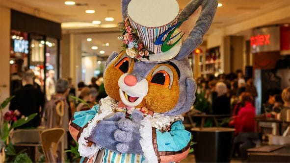 Coelho-no-Boulevard Agora é LEI: Mães que Doam Leite Materno Têm Isenção em Concursos do DF